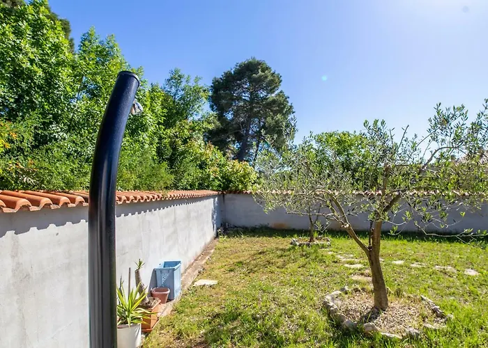 My Dream 시베니크